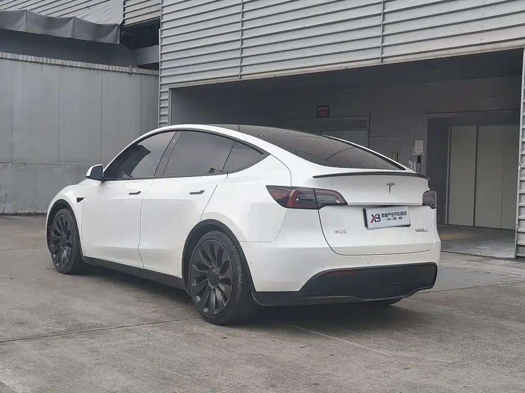 Tesla Model Y — миниатюра 5