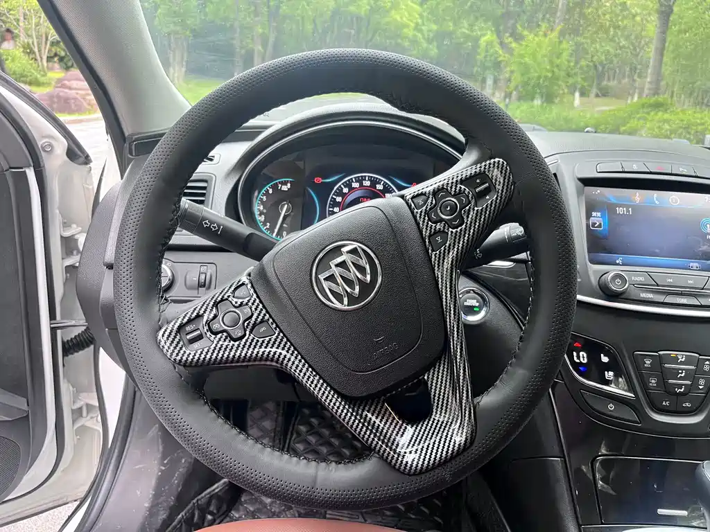 Buick Regal — миниатюра 12