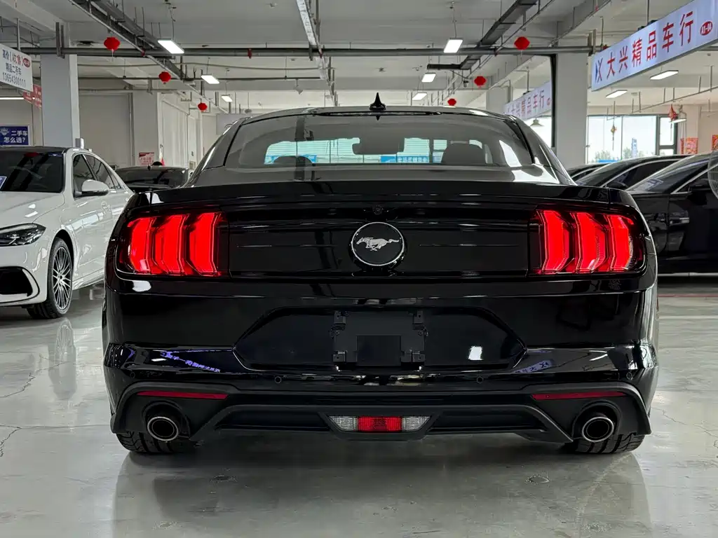 Ford Mustang — миниатюра 5