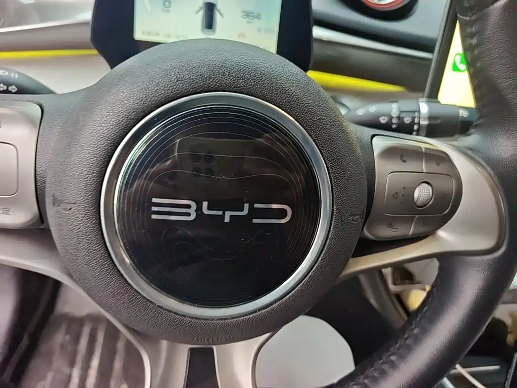 BYD Dolphin — миниатюра 12