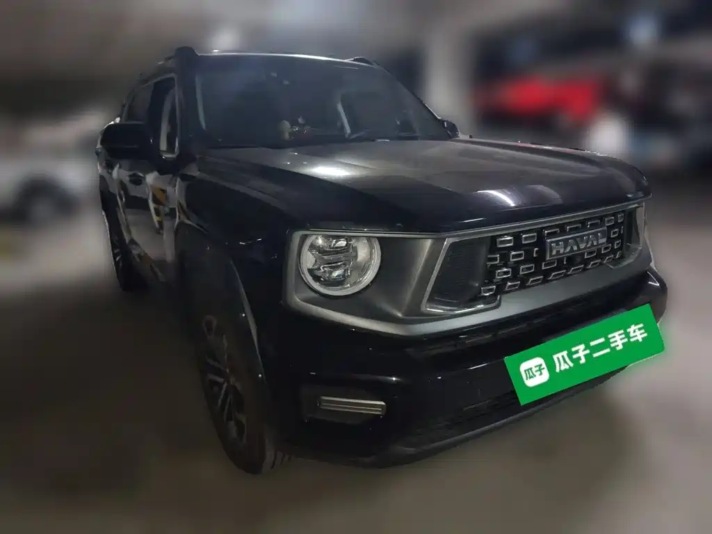 Haval Big Dog PLUS — миниатюра 24