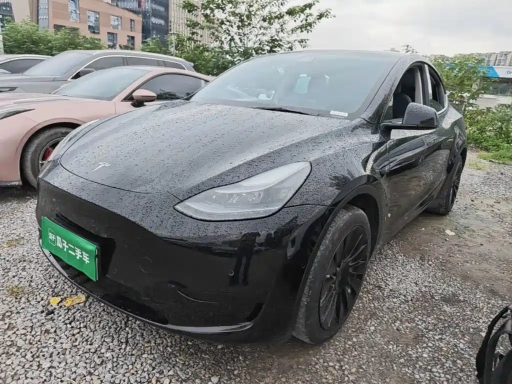 Tesla Model Y — миниатюра 2