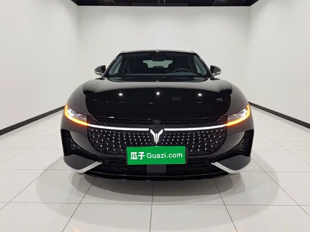 Voyah Passion 2024 PHEV Executive