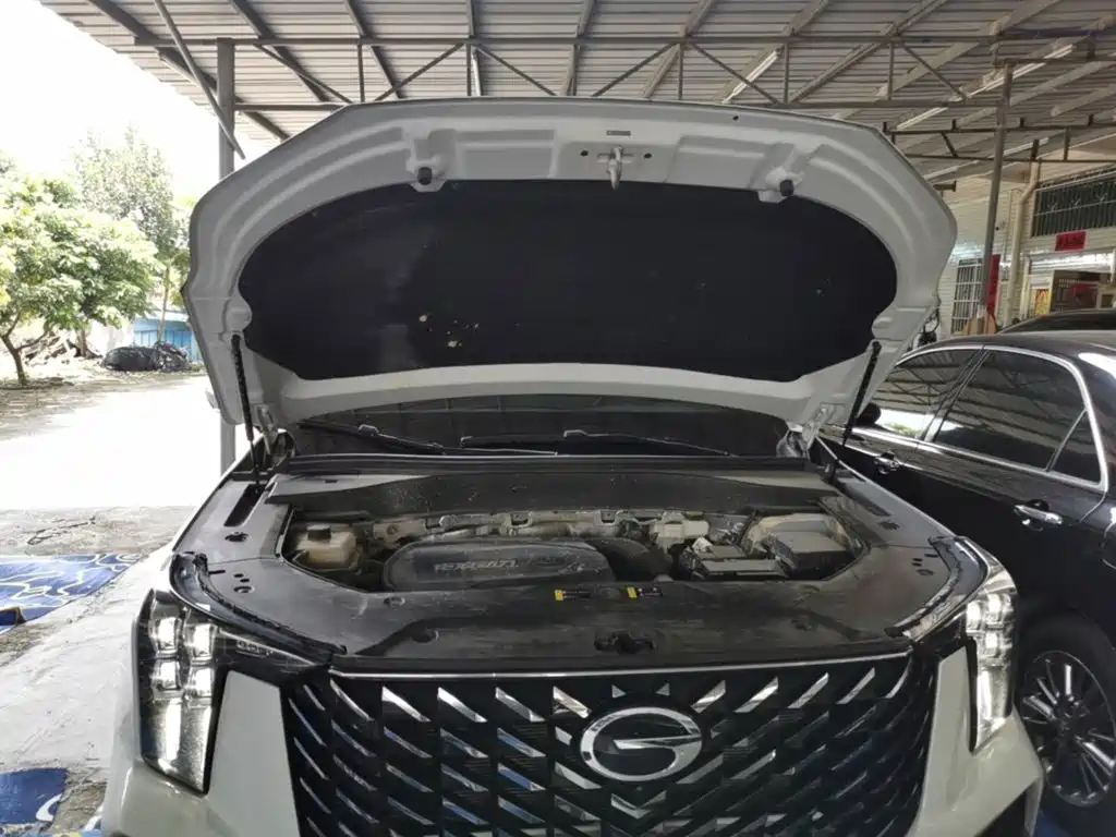 GAC Motor Trumpchi GS8 — миниатюра 20