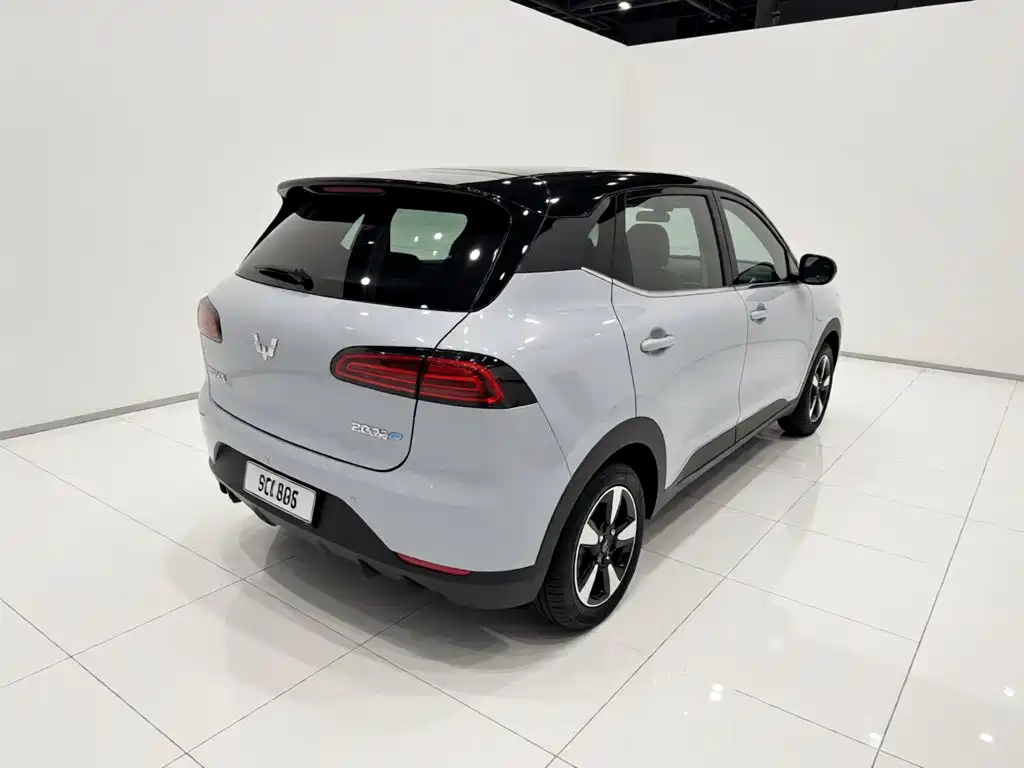 Wuling BinguoPLUS PLUS 2024 510km мест