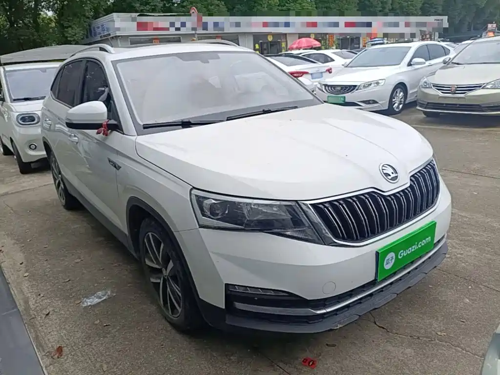 Skoda Kamiq — миниатюра 4