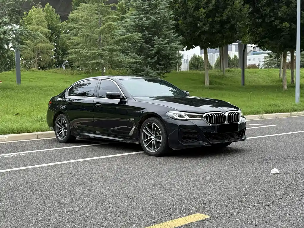 BMW 5 Series New Energy — миниатюра 2