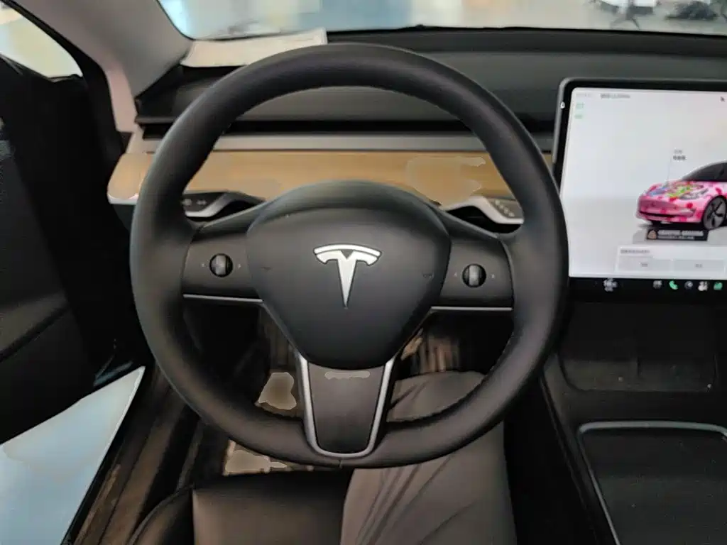 Tesla Model 3 — миниатюра 11