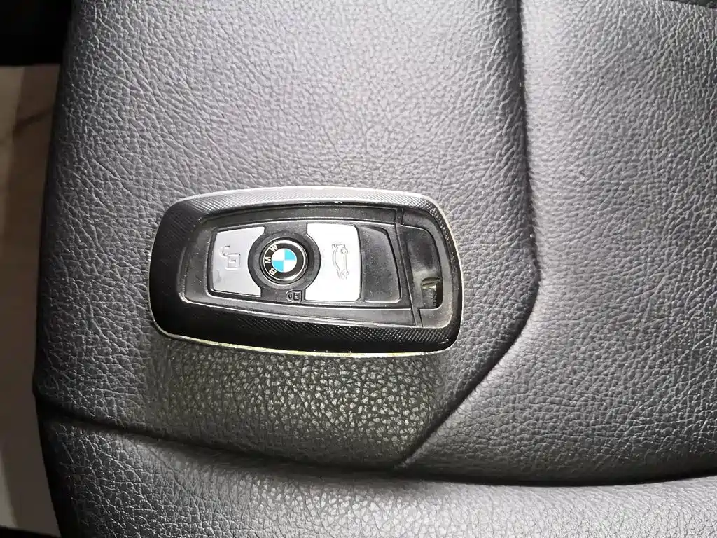 BMW 3 Series 3 2016 316Li Fashion