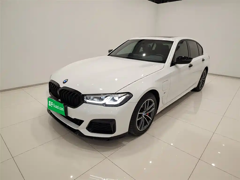 BMW 5 Series New Energy 2021