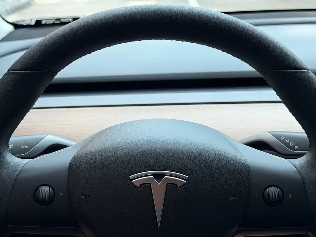 Tesla Model 3 — миниатюра 6