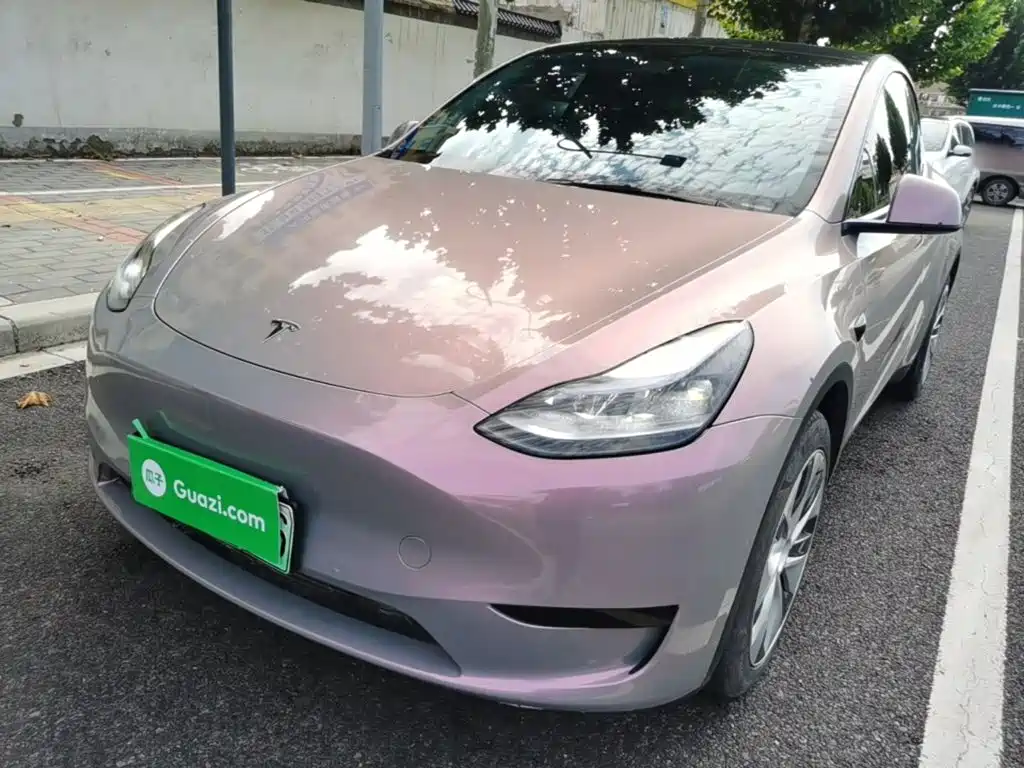 Tesla Model Y — миниатюра 2