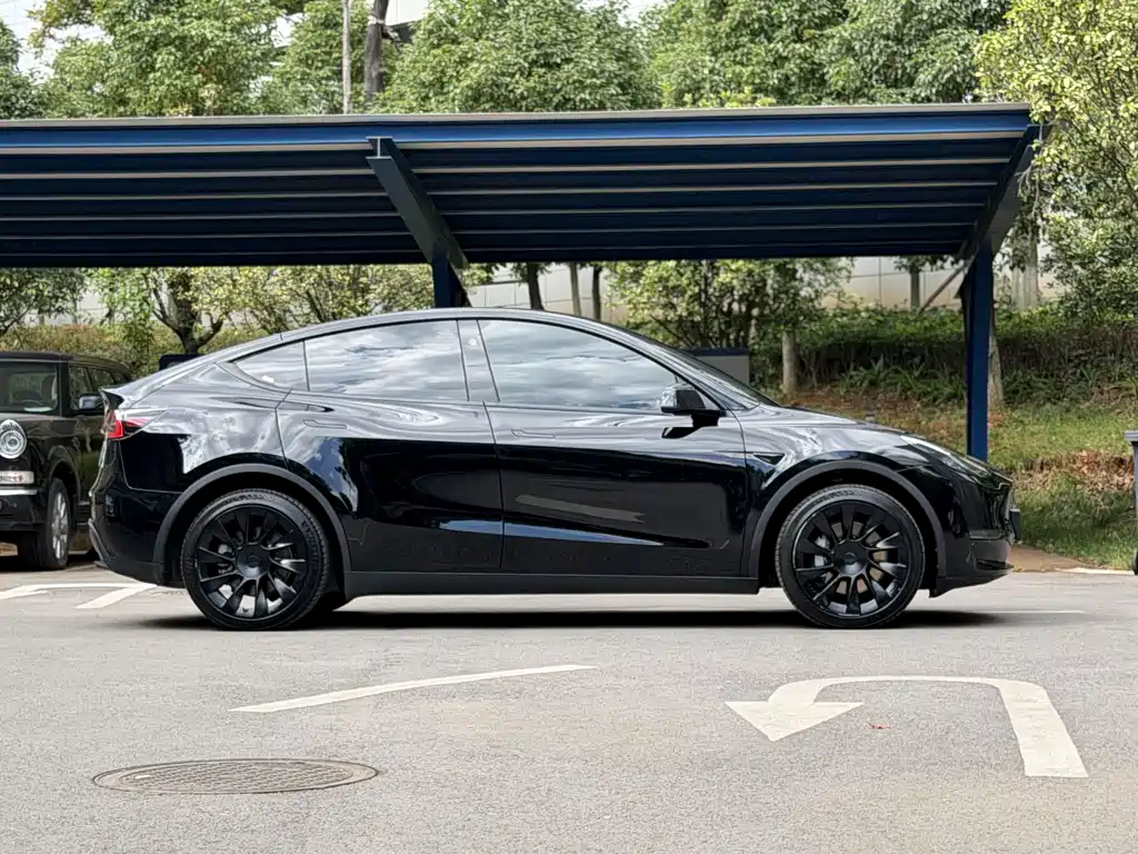 Tesla Model Y — миниатюра 4