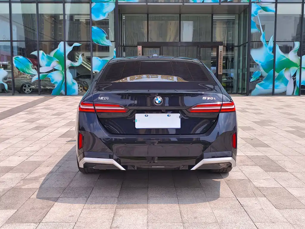BMW 5 Series — миниатюра 5
