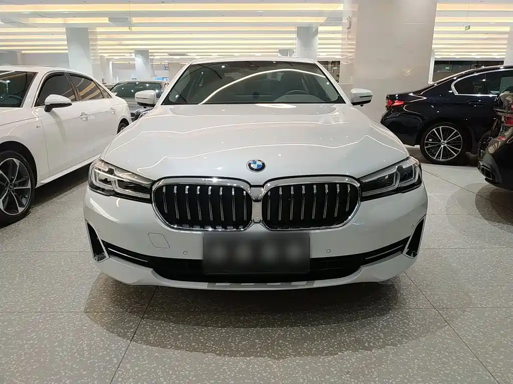 BMW 5 Series 5 2022 530Li xDrive Luxury