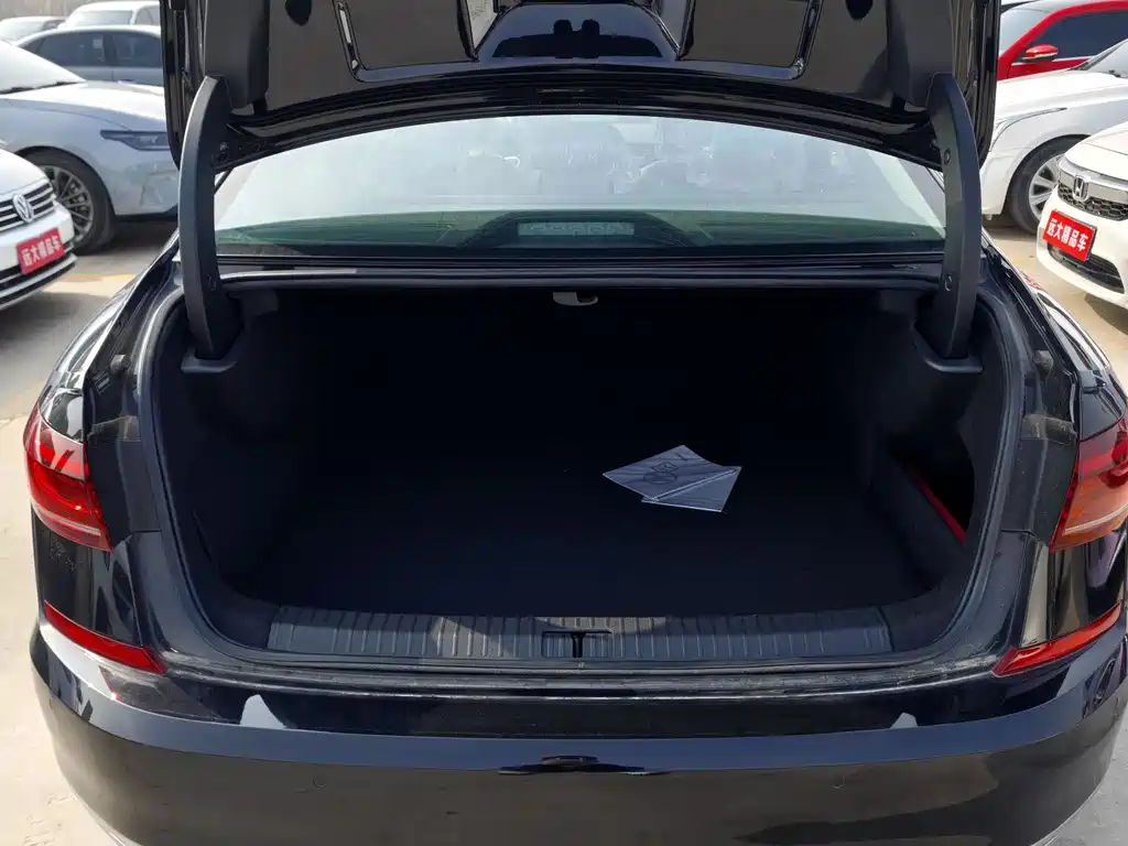 VOLKSWAGEN PASSAT NEW ENERGY