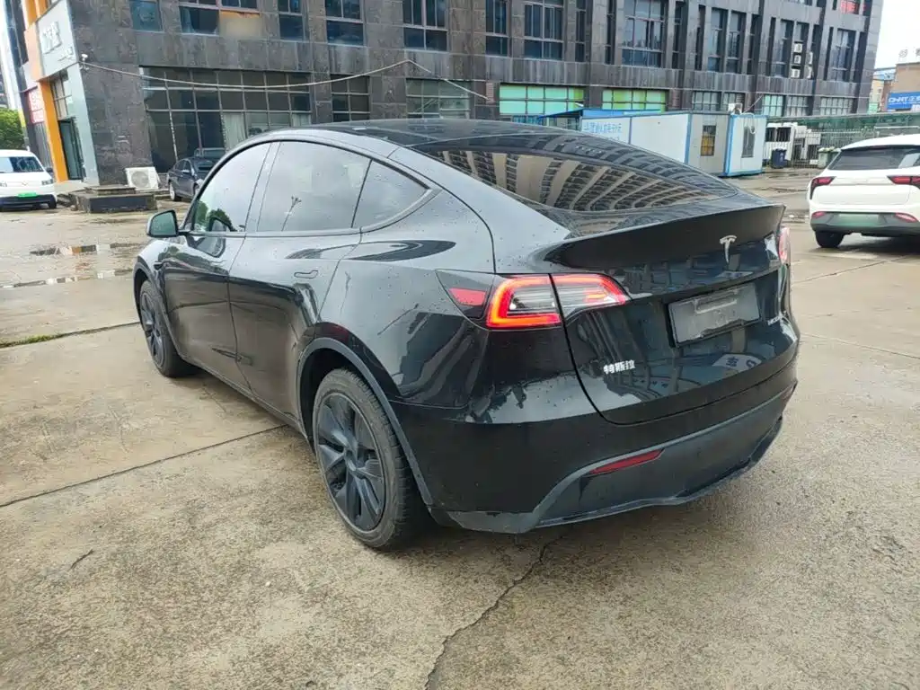 Tesla Model Y — миниатюра 5