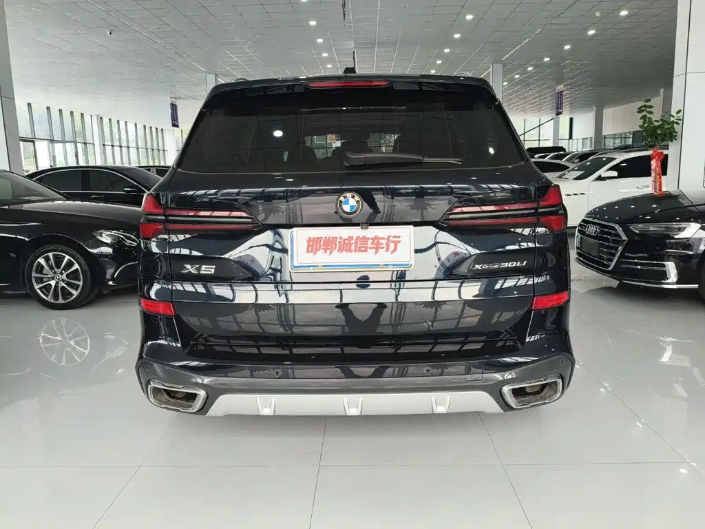 BMW X5 — миниатюра 5