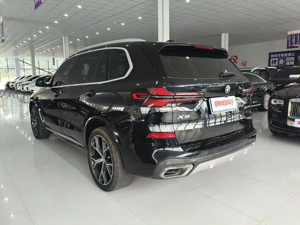 BMW X5 — миниатюра 6