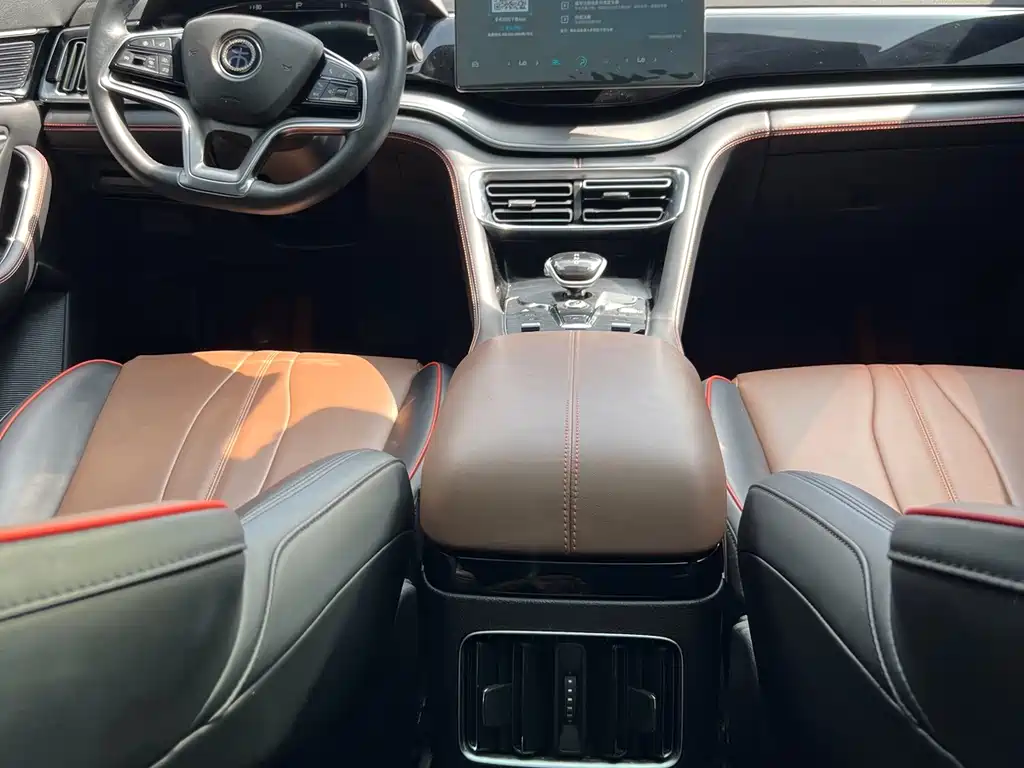 BYD PLUS — миниатюра 15