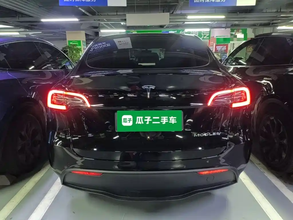 Tesla Model Y — миниатюра 6