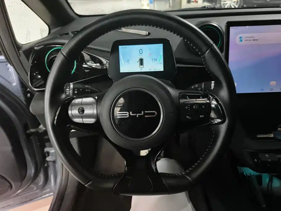 BYD Dolphin — миниатюра 15