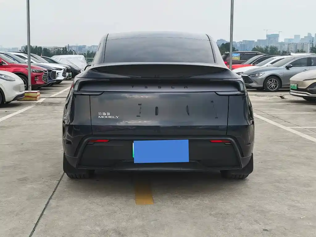 Tesla Model Y — миниатюра 6