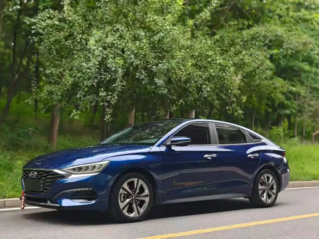 Hyundai Fista — миниатюра 2
