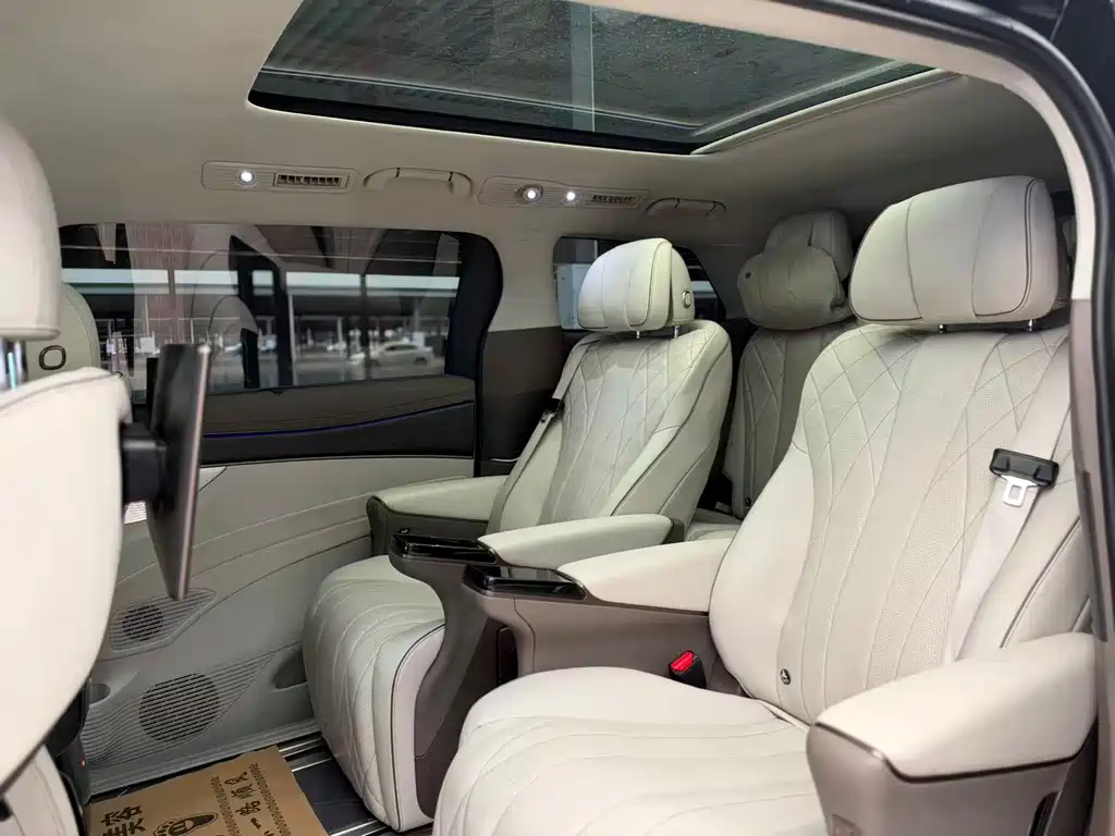 Denza Denza D9 — миниатюра 4
