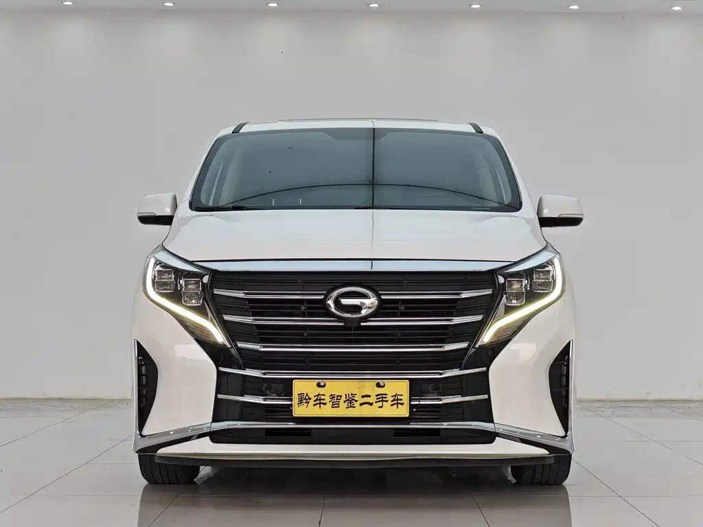 GAC Motor Trumpchi M8 — миниатюра 2