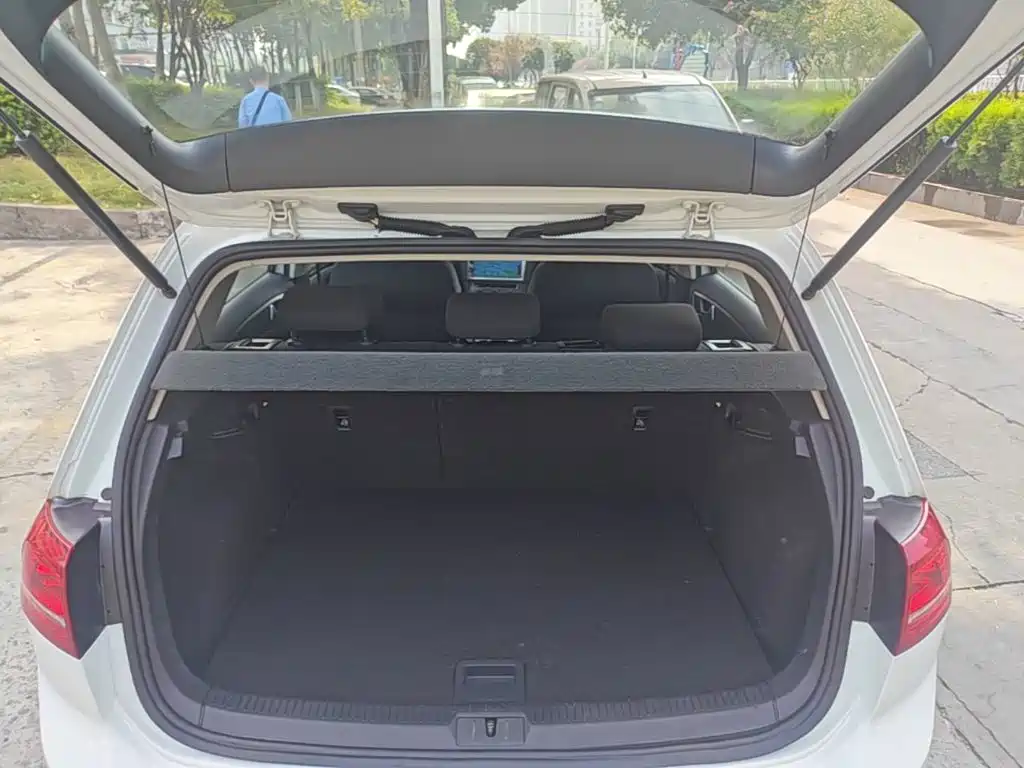 Volkswagen Golf — миниатюра 19
