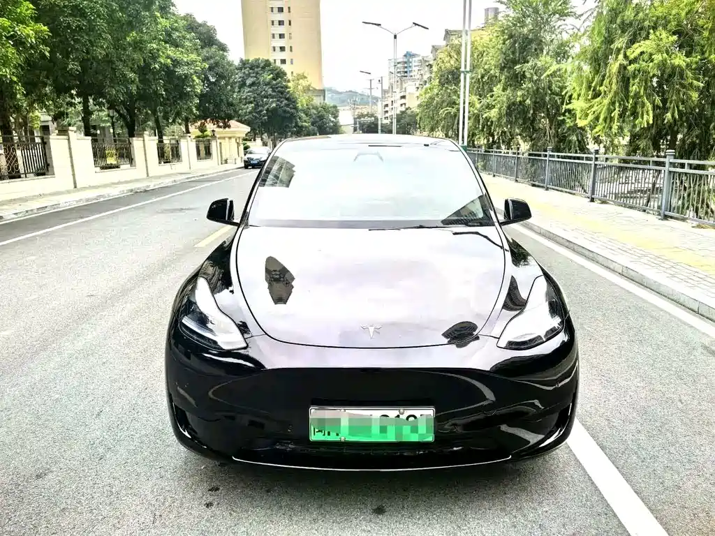 Tesla Model Y — миниатюра 2