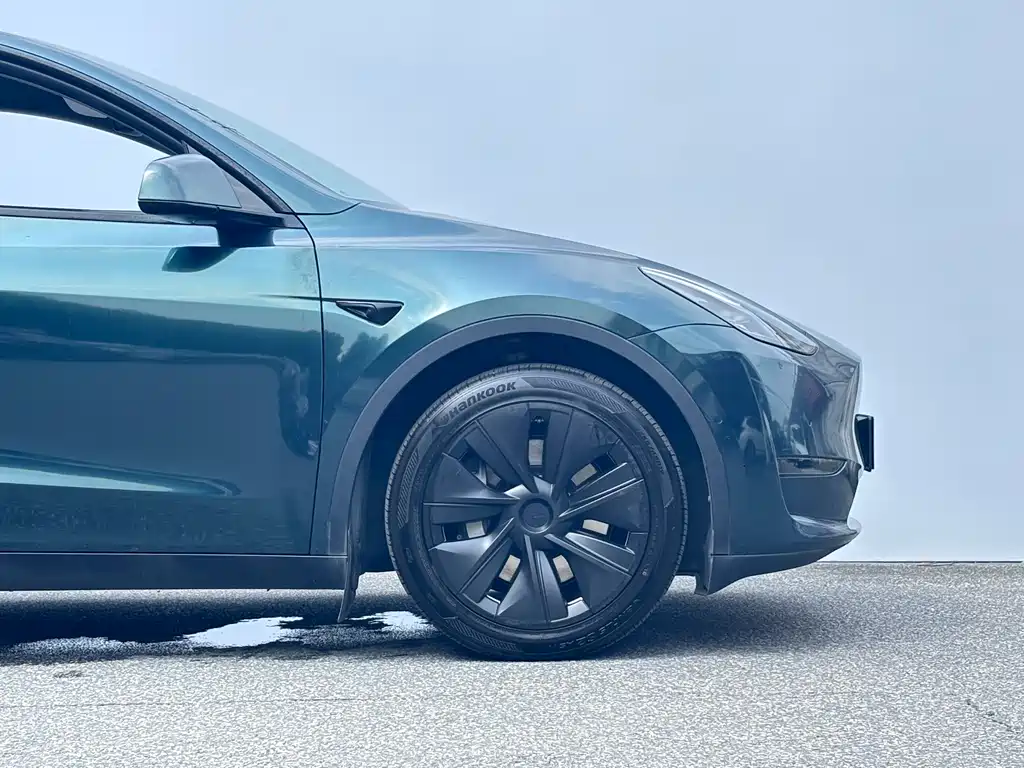 Tesla Model Y — миниатюра 6