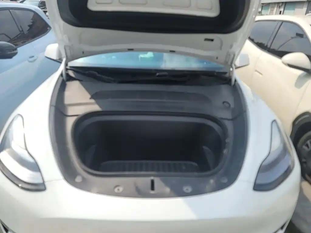 Tesla Model Y — миниатюра 20
