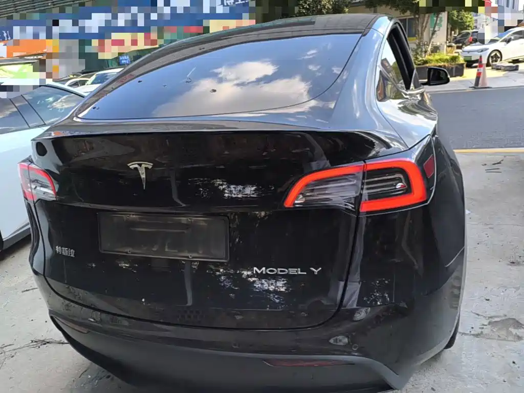 Tesla Model Y — миниатюра 6
