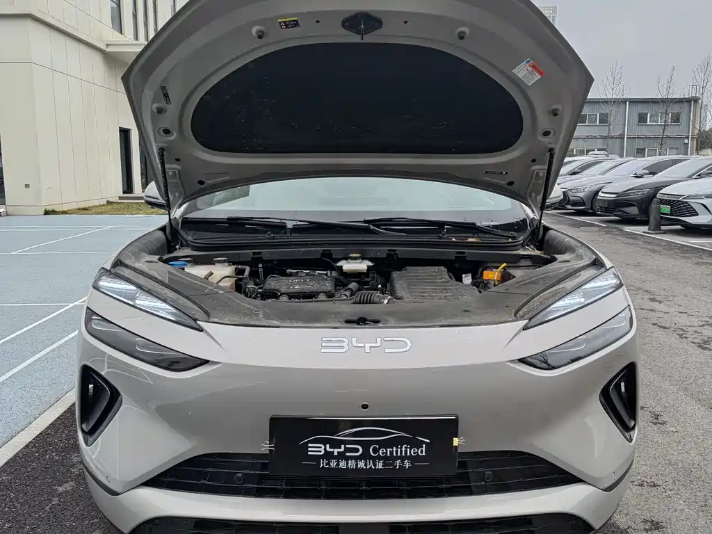 BYD SEA LION 06 NEW ENERGY