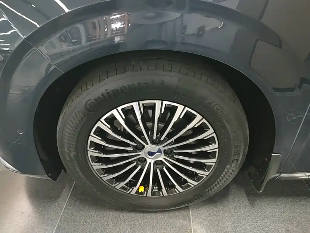 Denza Denza D9 — миниатюра 23