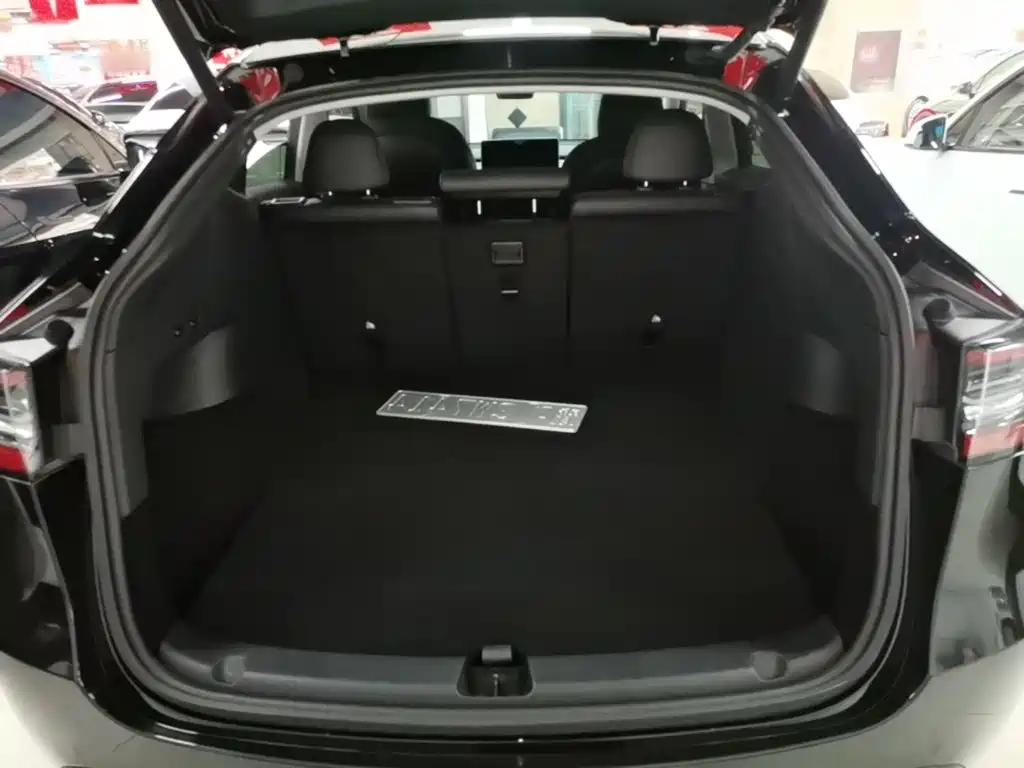 Tesla Model Y — миниатюра 19