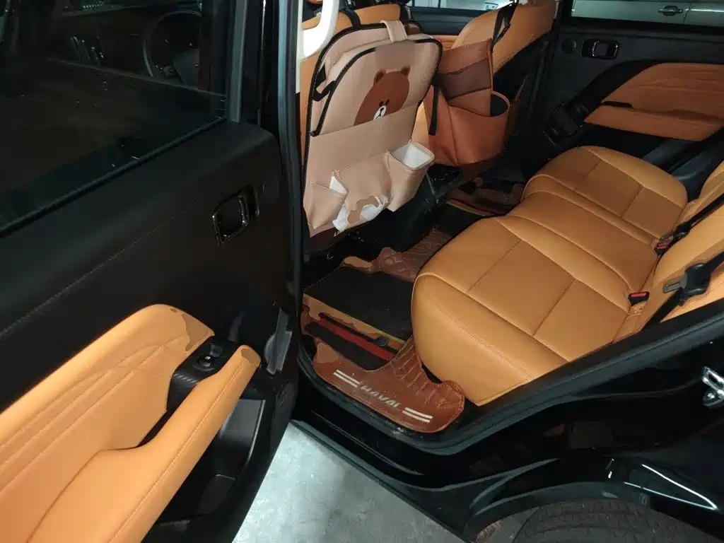 Haval Menglong New Energy — миниатюра 13