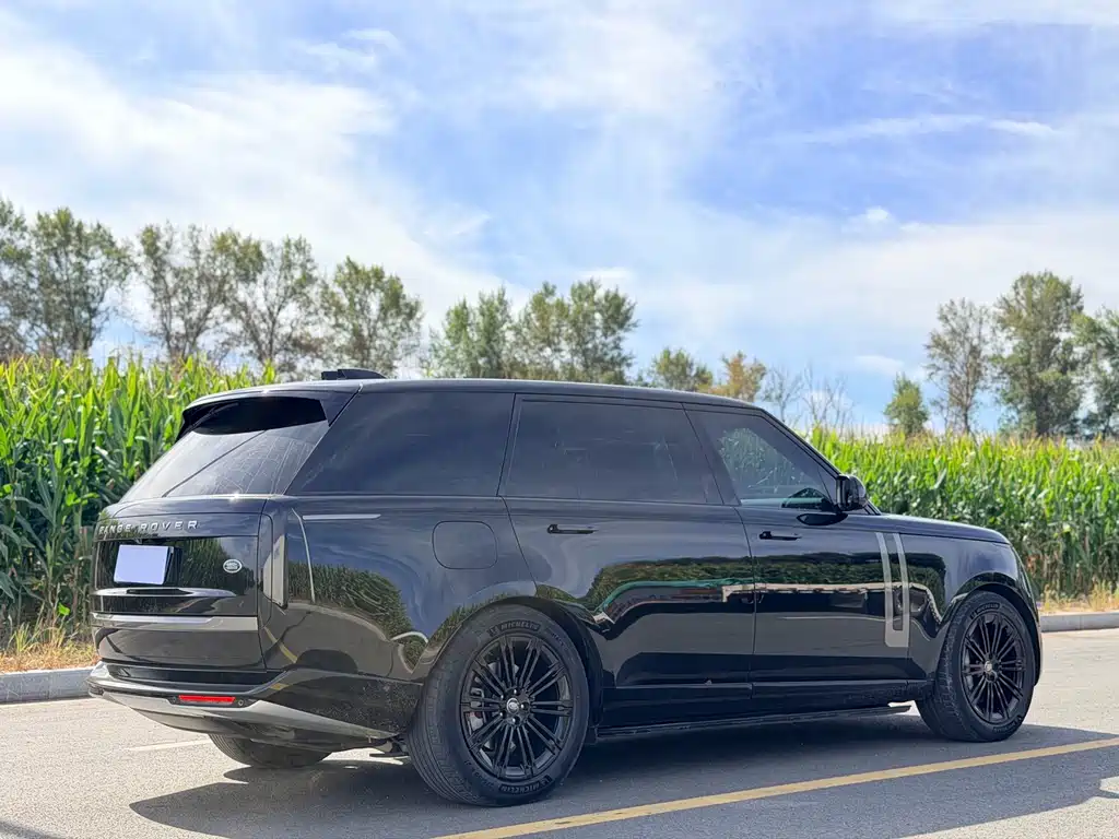 Land Rover Range Rover — миниатюра 15