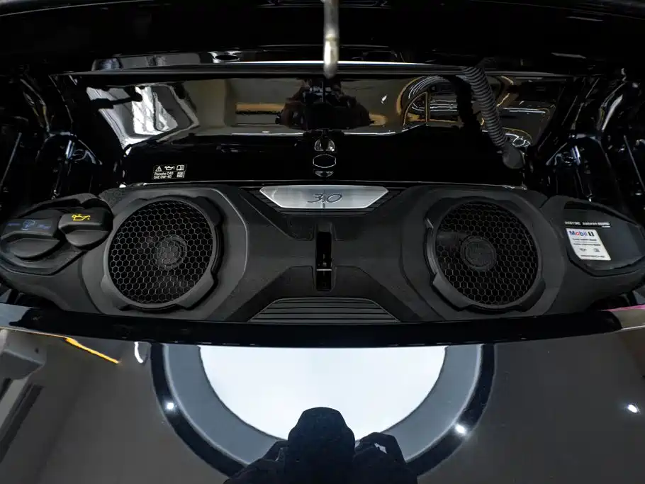 Porsche 911 — миниатюра 12