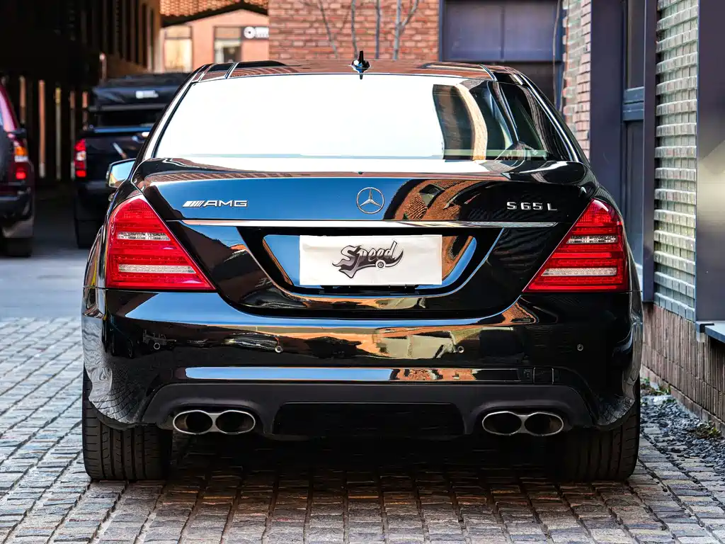 Mercedes-Benz S-Class A MG S AMG 2010 AMG S 65