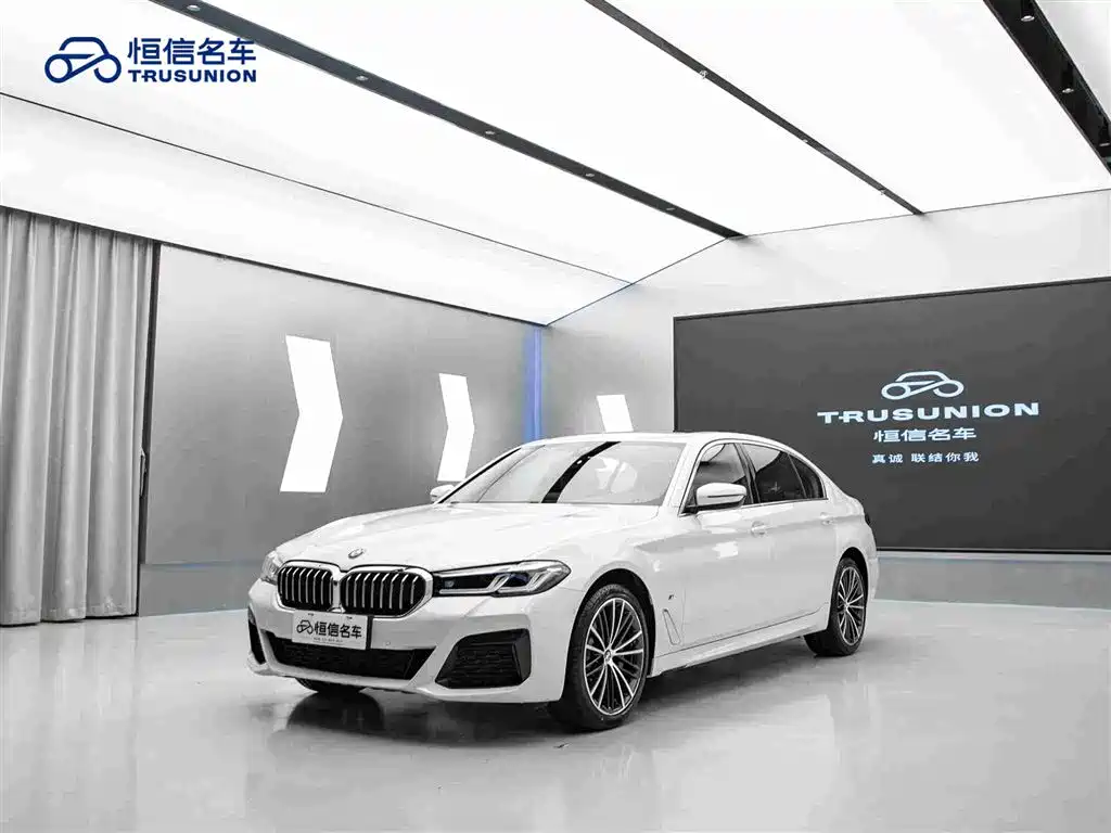 BMW 5 Series — миниатюра 3