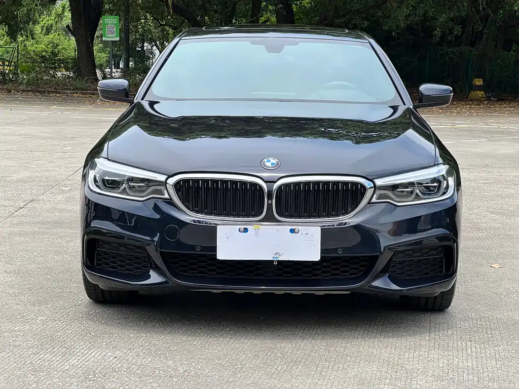 BMW 5 Series — миниатюра 2