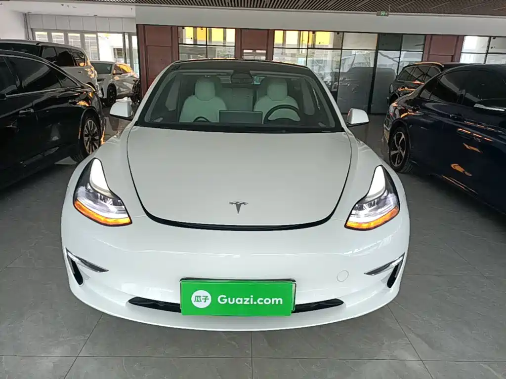 Tesla Model 3 2021 Performance