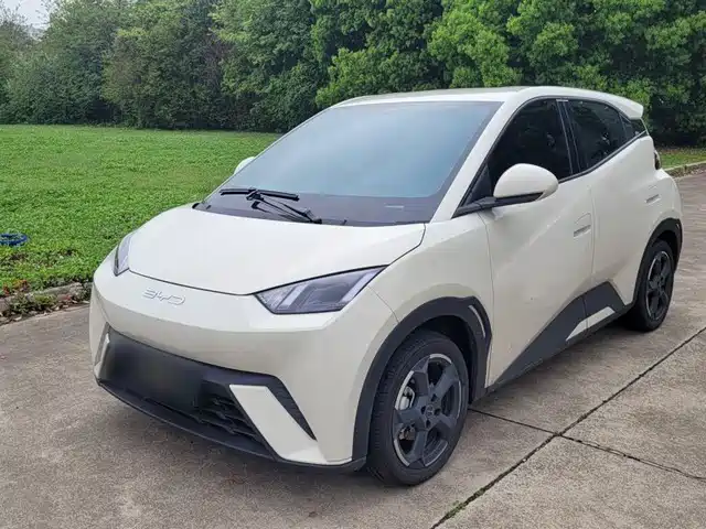 2024 BYD Seagull