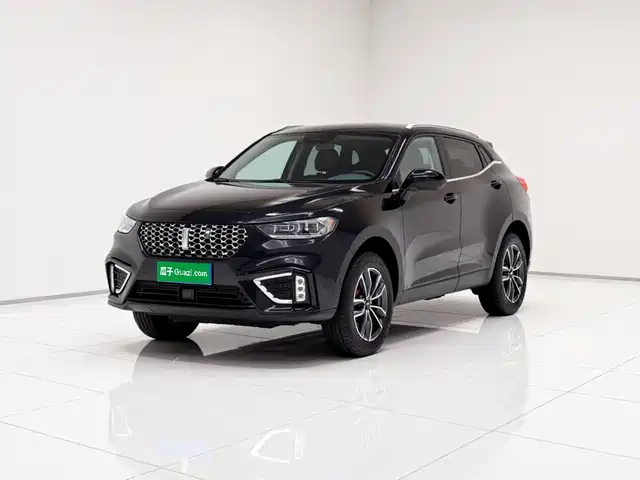 2021 Wey VV5