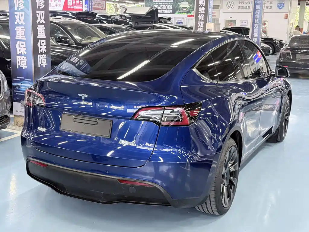 Tesla Model Y — миниатюра 3