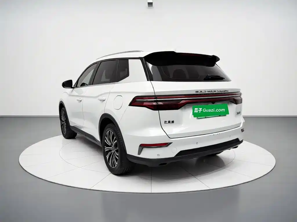 BYD Pro New Energy — миниатюра 11