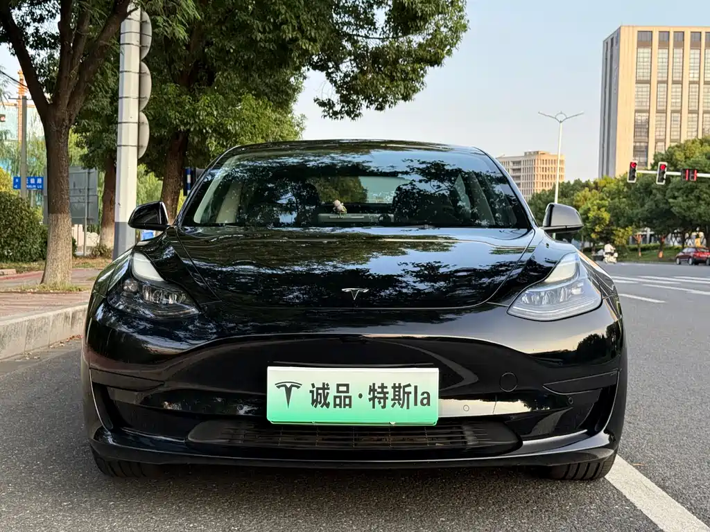 Tesla Model 3 — миниатюра 8